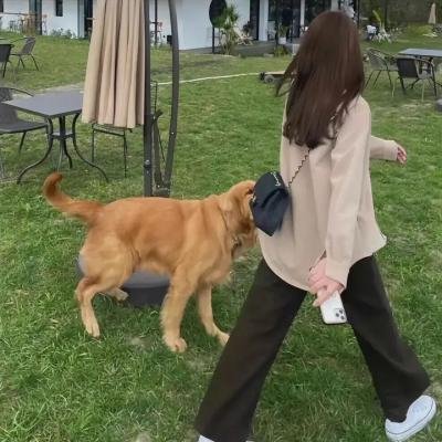 邮差