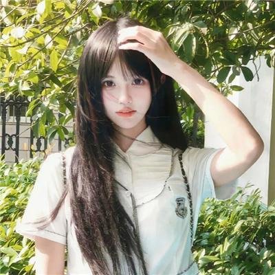 四条生命